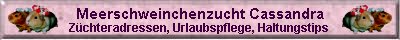 Tipps zur Haltung und Zucht von Meerschweinchen, Abgabetiere, Urlaubspflege,  Gru&szlig;kartenversand, Gehegebeispiele, Meerschweinchen-Ger&auml;usche, Buch-Tipps  u.v.m.